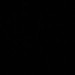 Meet your Posher, Maxine